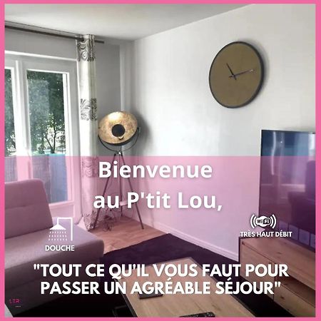 Апартаменты Bienvenue Au P'Tit Lou Булонь-сюр-Мер Экстерьер фото